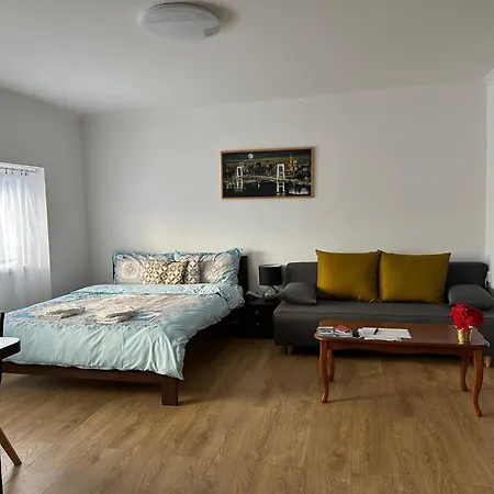 Appartamento V Krušných Horách-free Parking *