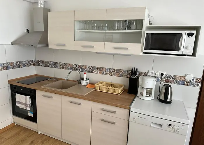 V Krusnych Horach-free Parking Apartament Jáchymov