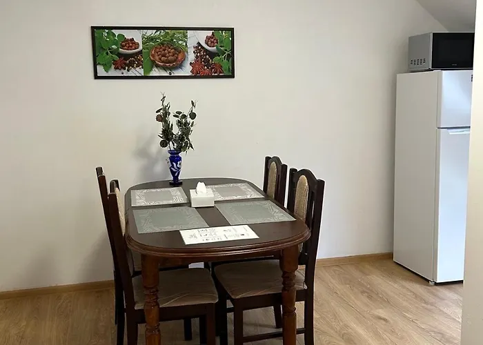 V Krusnych Horach-free Parking Apartament Jáchymov